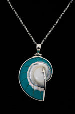 Turquoise Nausilus Shell Pendant Necklace - 165