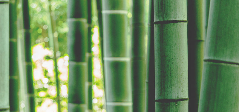 Bamboo Womens Clothing for Effortless Everyday Comfort