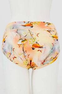 Back view of hipster bamboo underwear featuring bird pattern