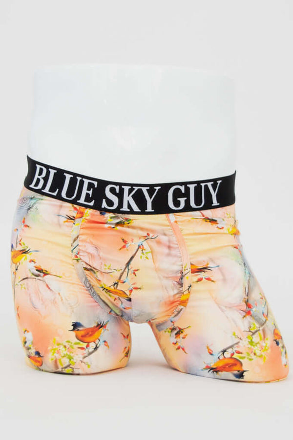 Front view of Middle Man Underwear in Songbird print with black waistband