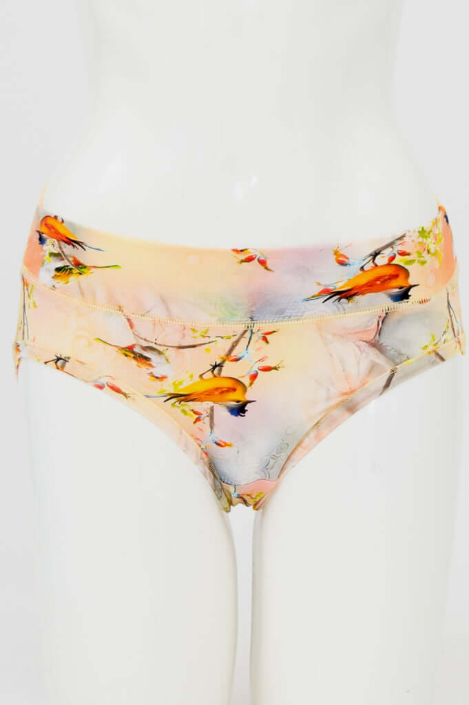 Front view of hipster bamboo underwear with colorful bird print