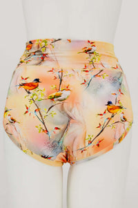 Back view of La Gaunche high-waisted bamboo brief featuring vibrant bird print