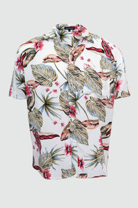Frank Shirt, Caraïbes