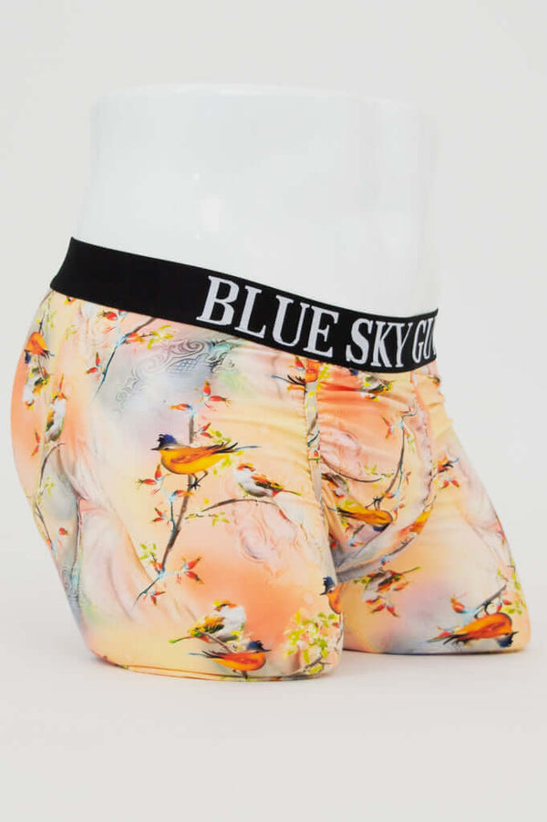 Side view of Middle Man Underwear in Songbird print with Blue Sky Guy waistband