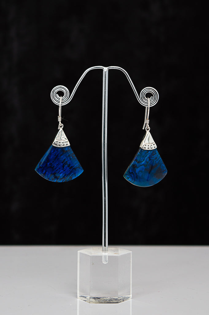 Blue Shell Earrings - 778