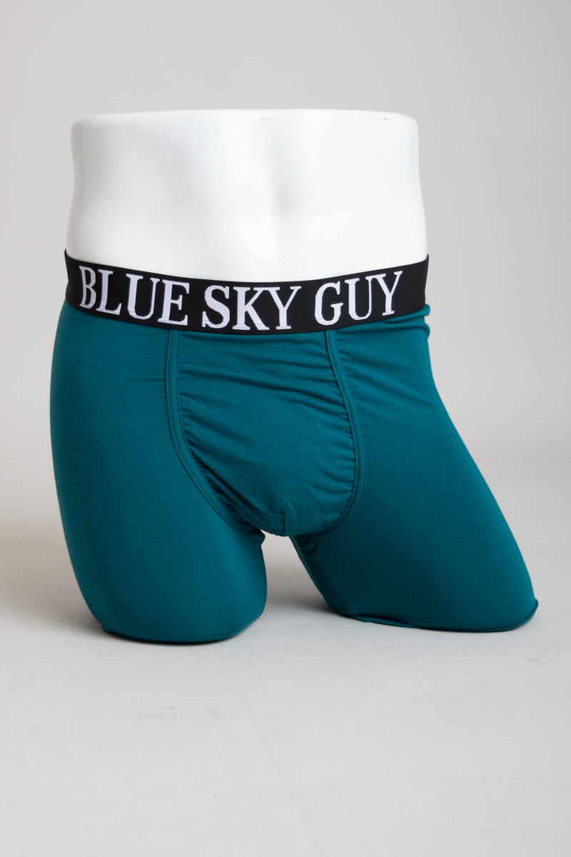 Men's teal blue, comfort and supportive anti shaft pouch boxer briefs made with natural fibers.